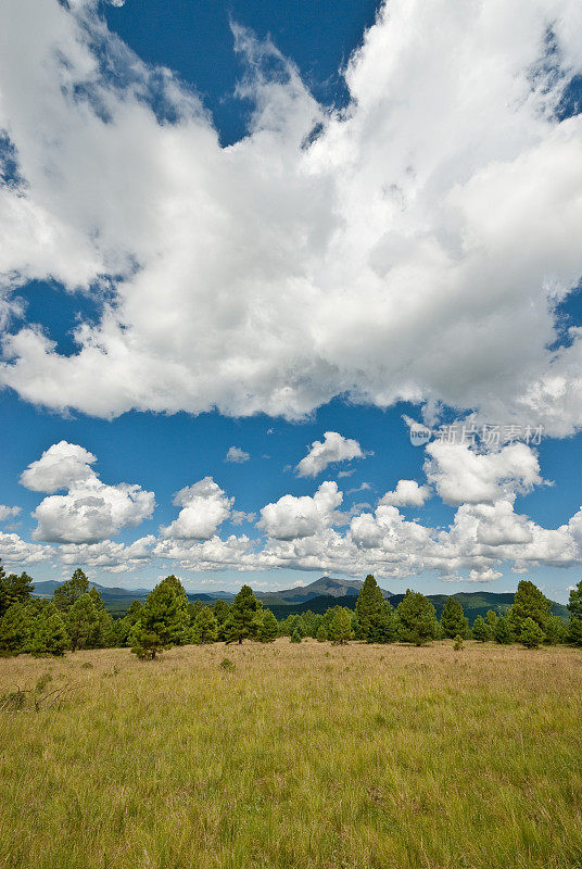 Hart Prairie和Kendrick Peak